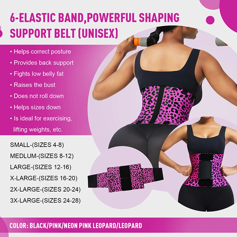 New Custom Logo Compression Adjustable Women Fitness Back Support Belt Neoprene Tummy Control Sweat Belt Waist Trimmer